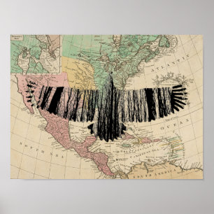 Abstract Eagle Tree Silhouettes Nature Animal Art Poster