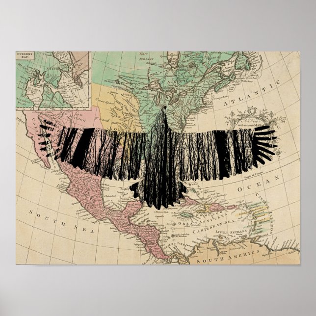 Abstract Eagle Tree Silhouettes Vintage USA Map Poster (Front)