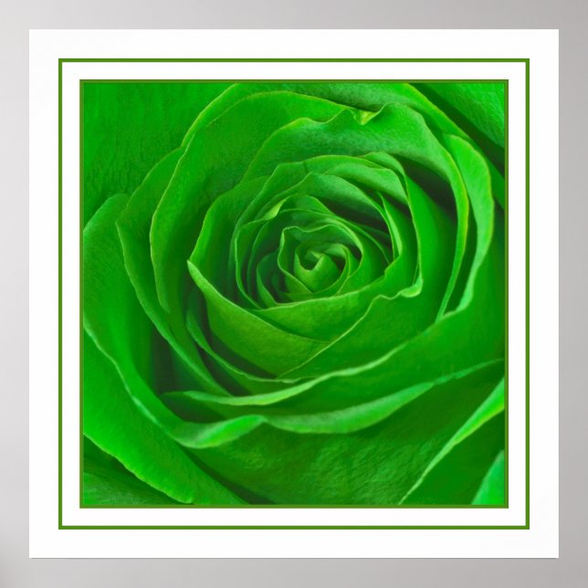 Abstract Emerald Green Rose Centre Photograph Poster (Front)