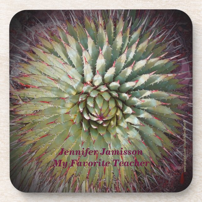 Abstract Favorite Best Teacher Agave Southwest Coaster (Front)