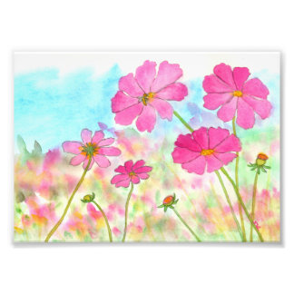 Abstract Floral Art Pink Cosmos Wild Flowers Photo Print