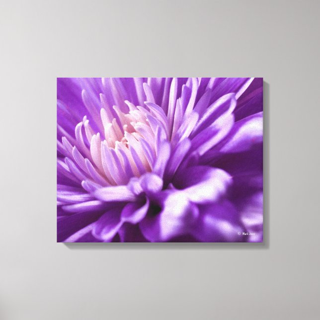 Abstract Floral Canvas Print (Front)
