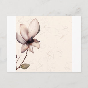Abstract Flowers Warm Colours Pip Postcard