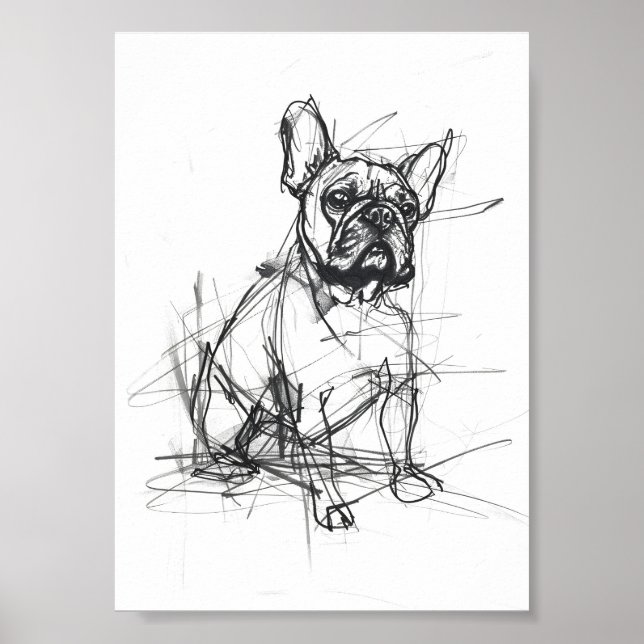 Abstract French Bulldog Sketch Poster (Front)