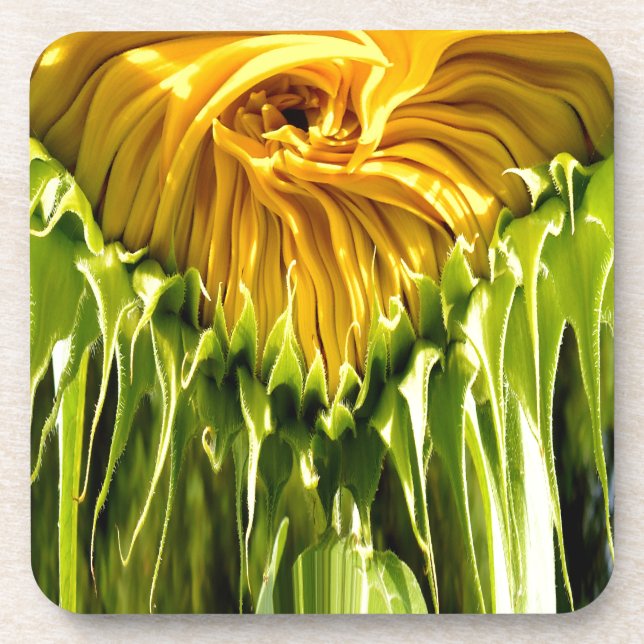 Abstract funky retro Sunflower, scared geometry  Coaster (Front)