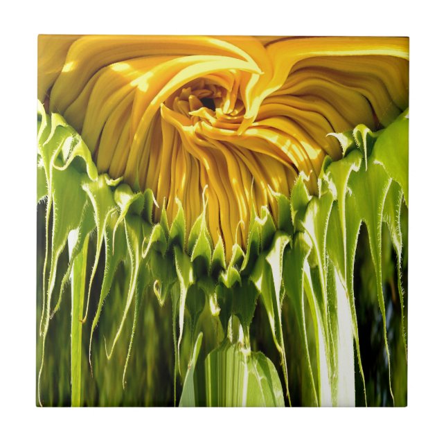 Abstract funky retro Sunflower, scared geometry  Tile (Front)