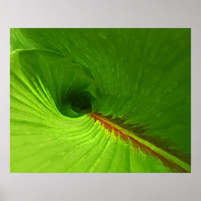 Abstract Ginger Leaf Spiral Poster (Front)