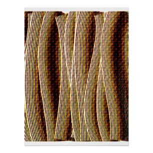 Abstract Glossy 3D Twisted Rope Pattern Poster