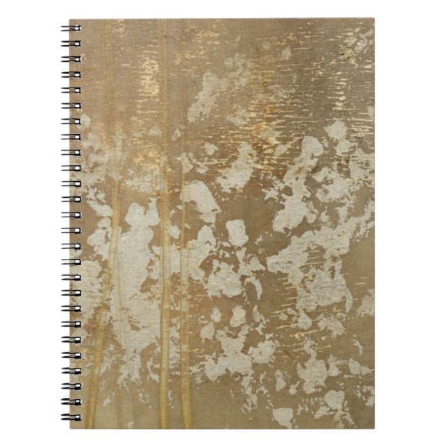 Abstract Gold Painting with Silver Speckles Notebook (Front)