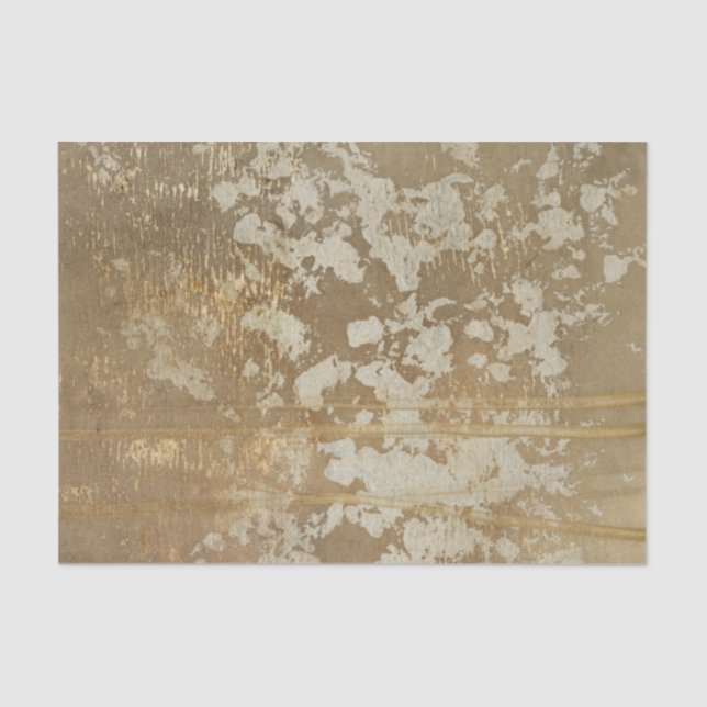 Abstract Gold Painting with Silver Speckles Tissue Paper (Front)