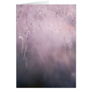 Abstract Grass Dew Drop Blue Brown Background