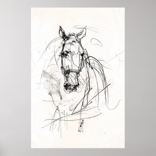 Abstract Horse Portrait Sketch - Premium  Poster