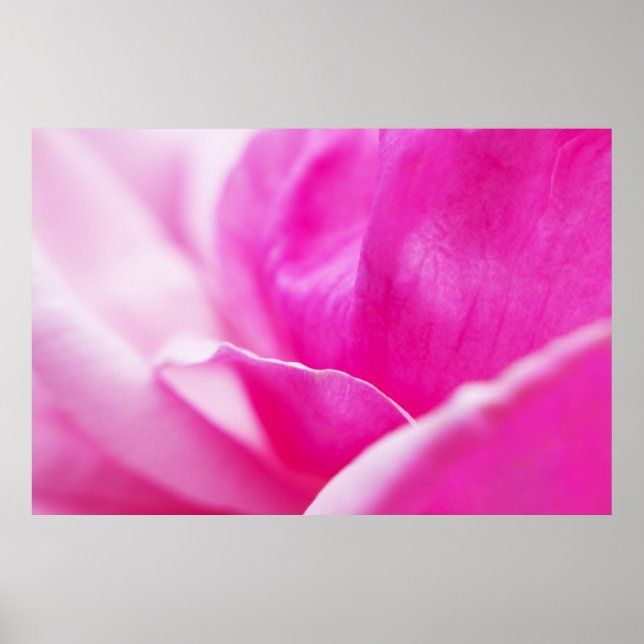 Abstract Hot Pink Flower Poster (Front)