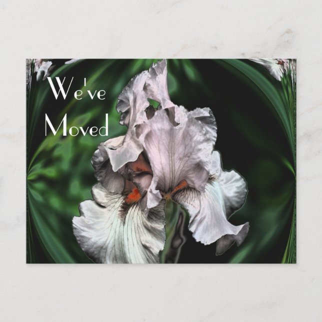 Abstract Iris Flower New Address Announcement Postcard (Front)
