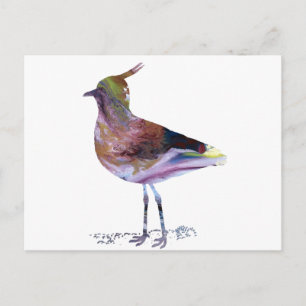 Abstract lapwing silhouette postcard