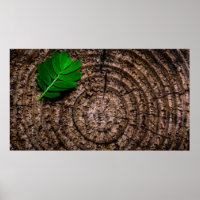 Abstract leaf tree stump green