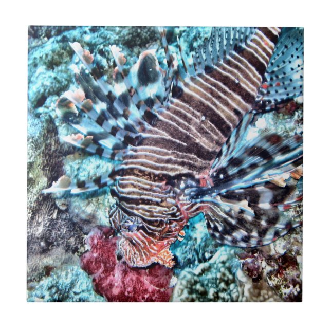 Abstract Lion Fish Tile (Front)