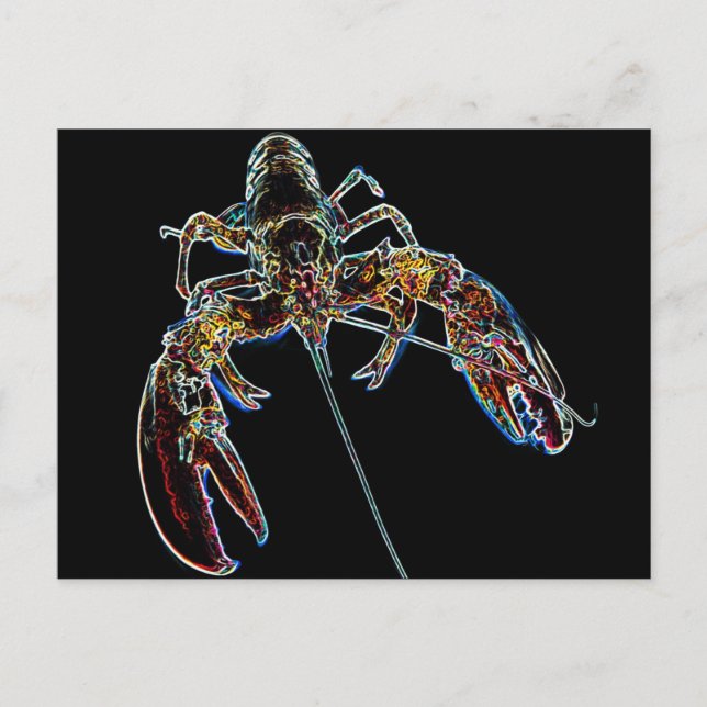 Abstract Lobster Postcard (Front)
