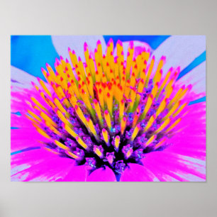 Abstract Macro Hot Pink and Yellow Coneflower Poster