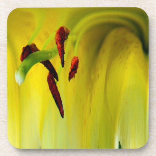 Abstract Macro Lily Stamen Floral Cork Coaster Set