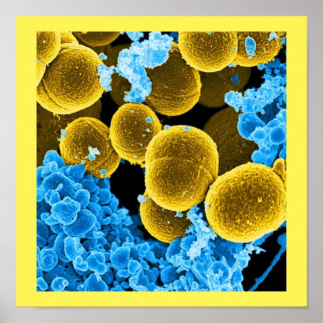 abstract microbiology art custom poster canvas (Front)