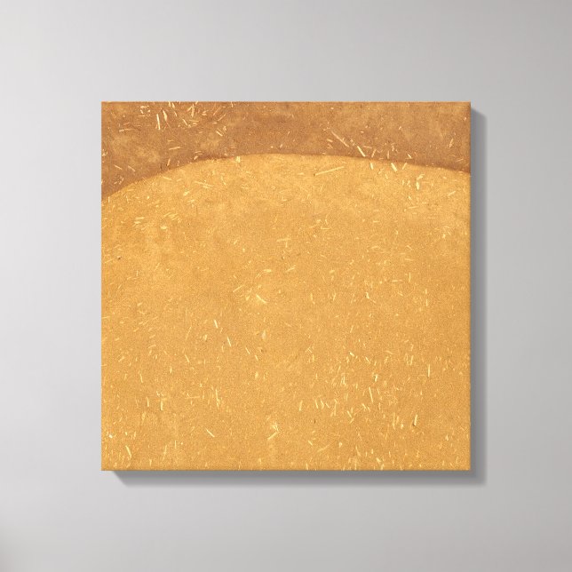 Abstract Mud Wall Texture Canvas Print (Front)