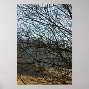 Abstract Nature Poster