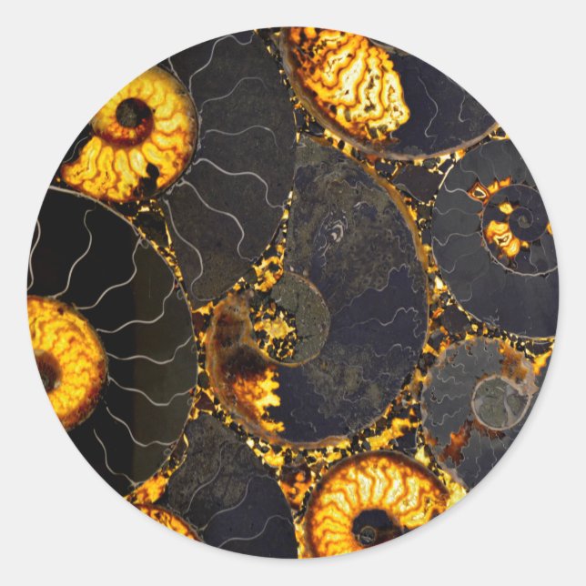 Abstract Nautilus pattern yellow gold  Classic Round Sticker (Front)
