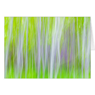 Abstract of Aspen Trees Yakima River Trail, WA