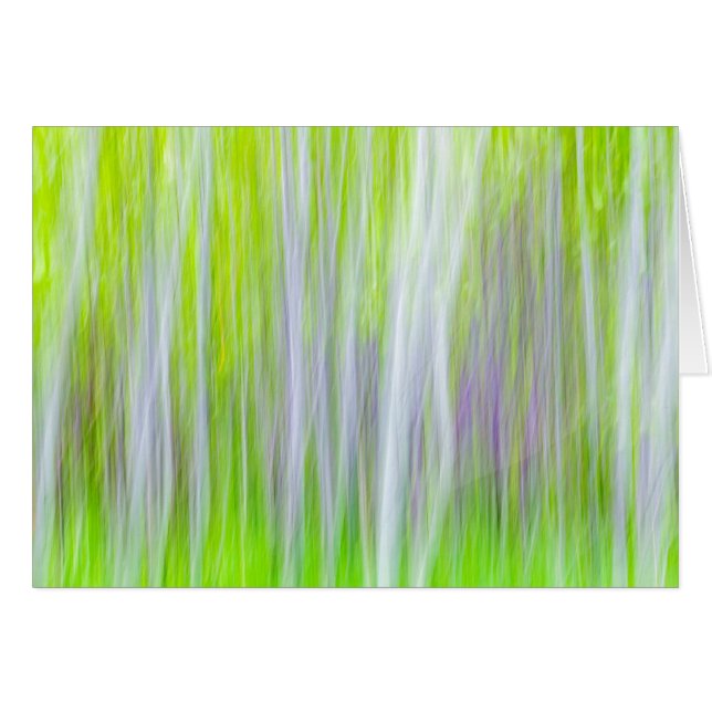 Abstract of Aspen Trees | Yakima River Trail, WA (Front Horizontal)