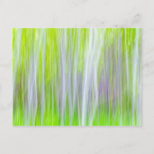 Abstract of Aspen Trees   Yakima River Trail, WA Postcard