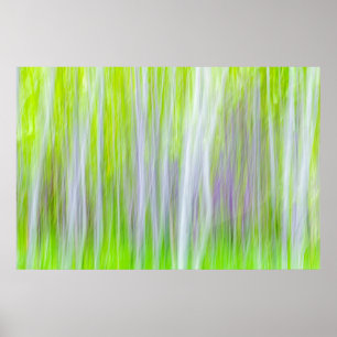 Abstract of Aspen Trees   Yakima River Trail, WA Poster