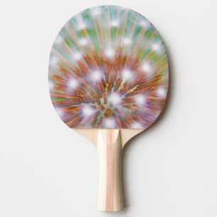 Abstract of dandelion seed head ping pong paddle