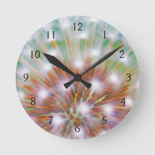 Abstract of dandelion seed head round clock