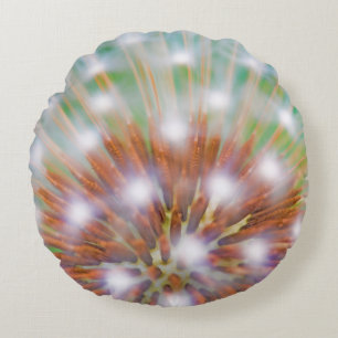 Abstract of dandelion seed head round cushion