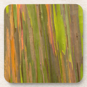 Abstract Of Eucalyptus Bark Coaster