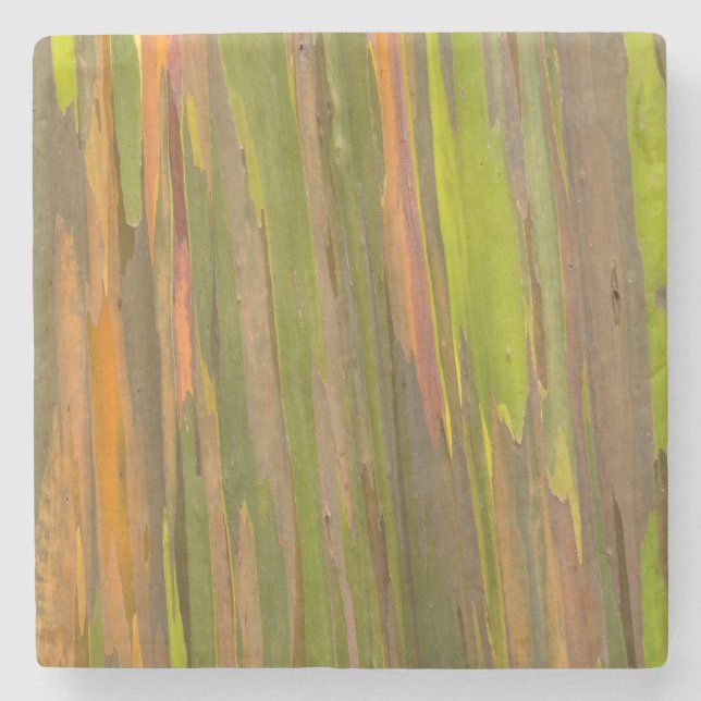 Abstract Of Eucalyptus Bark Stone Coaster (Front)