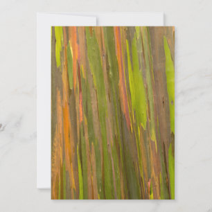 Abstract Of Eucalyptus Bark Thank You Card