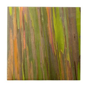 Abstract Of Eucalyptus Bark Tile