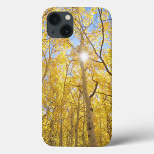 Abstract of Gilia Amidst Wildflowers California iPhone 13 Case