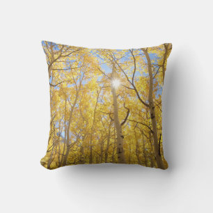 Abstract of Gilia Amidst Wildflowers California Cushion