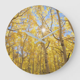 Abstract of Gilia Amidst Wildflowers California Large Clock