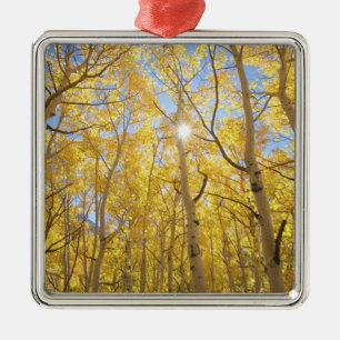 Abstract of Gilia Amidst Wildflowers California Metal Tree Decoration