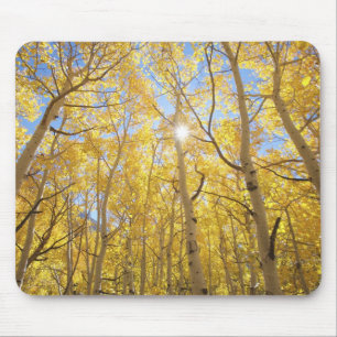 Abstract of Gilia Amidst Wildflowers California Mouse Mat