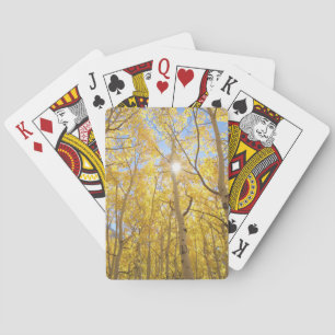 Abstract of Gilia Amidst Wildflowers   California Playing Cards