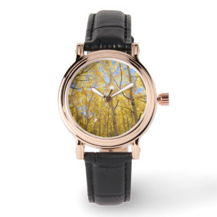 Abstract of Gilia Amidst Wildflowers California Watch