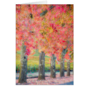 Abstract of Napa Valley trees