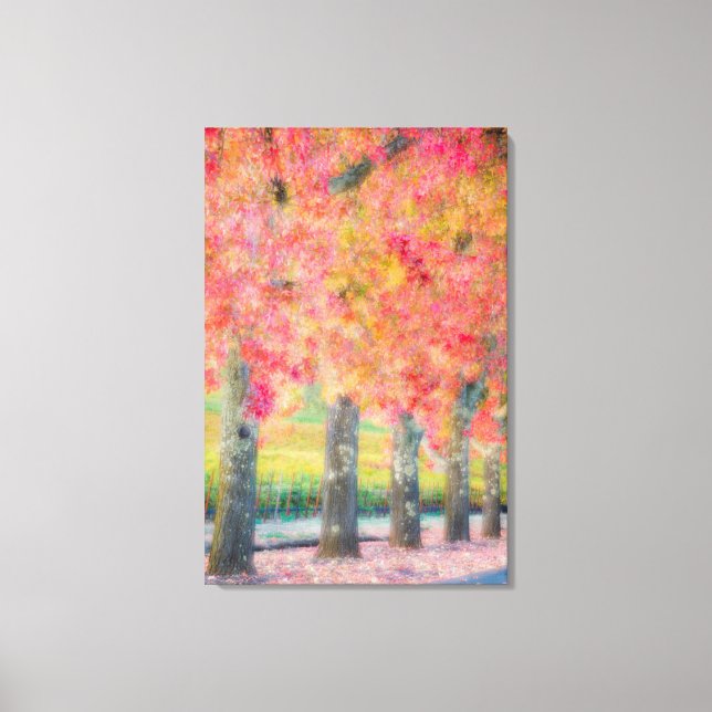 Abstract of Napa Valley trees Canvas Print (Front)