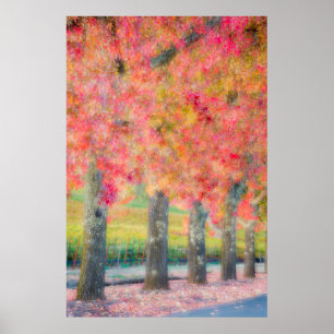Abstract of Napa Valley trees Poster