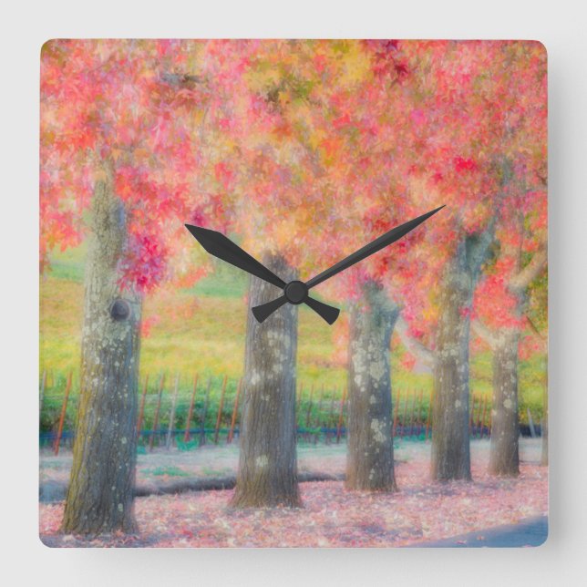 Abstract of Napa Valley trees Square Wall Clock (Front)